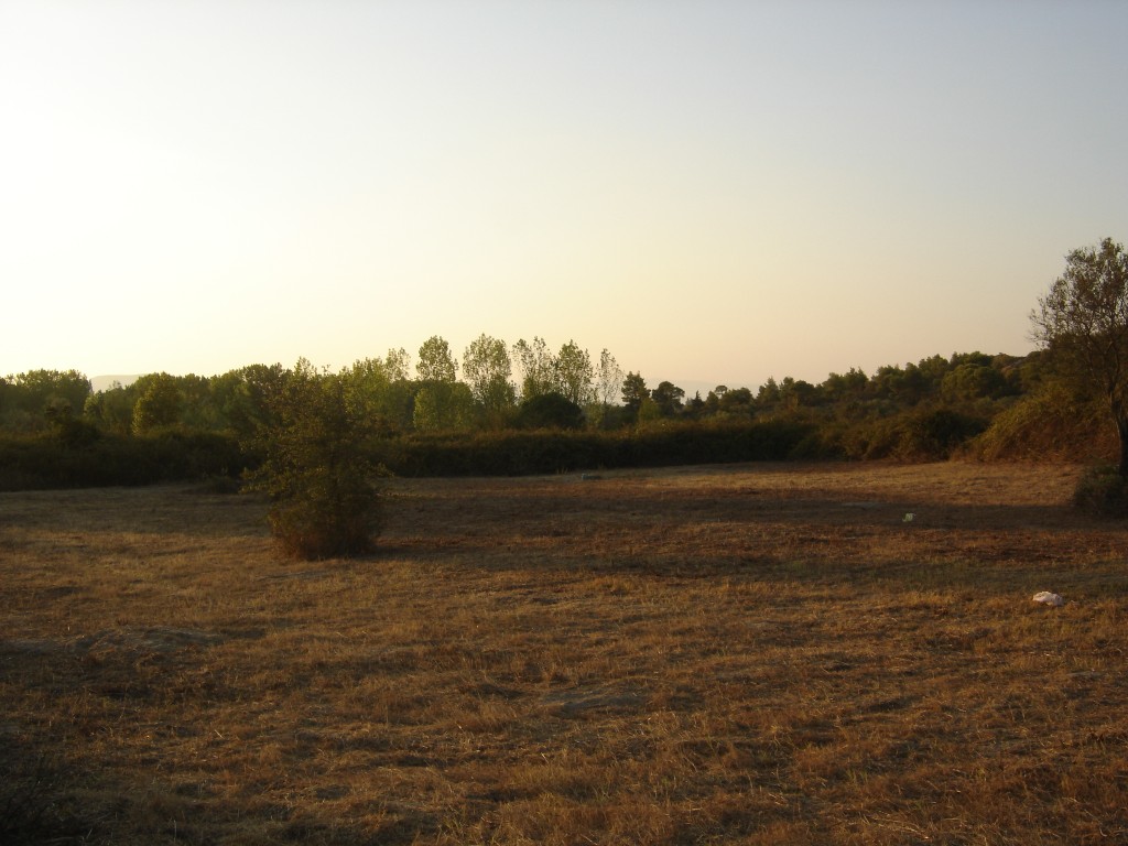 dimitrakia_vourvourou104 Medium.jpg
